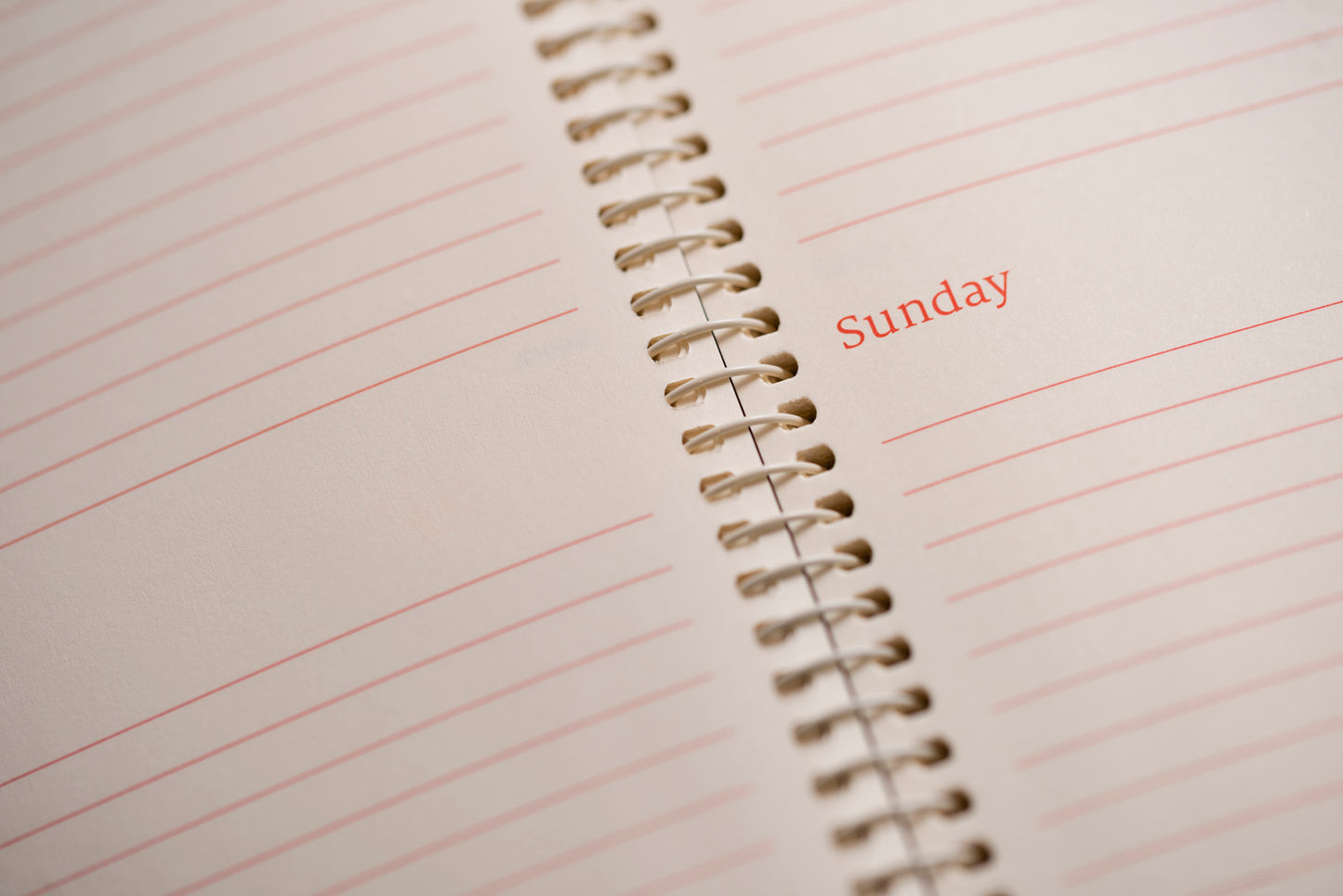 The Economist - 2024 Desk Diary - Day a Page -Red