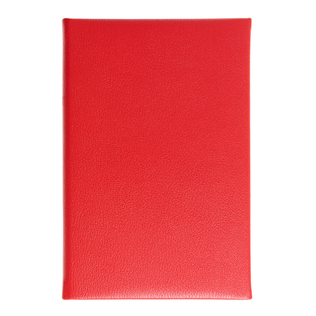 2025 Concise Travel Diary - Week-to-View Planner -  Red
